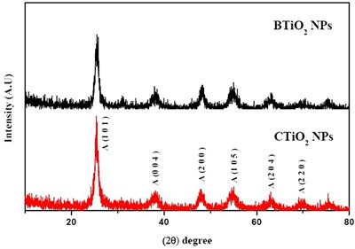 Genetic effects of chemically and biosynthesized titanium dioxide nanoparticles in vitro and in vivo of female rats and their fetuses